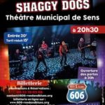606dogs