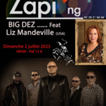 zap0207