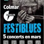 festiblues