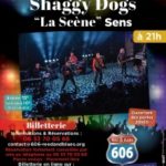 606dogs